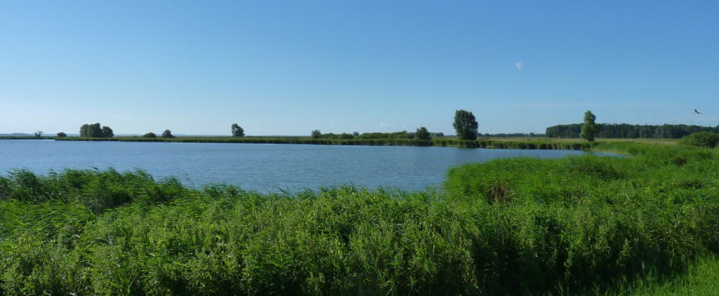 P1140787