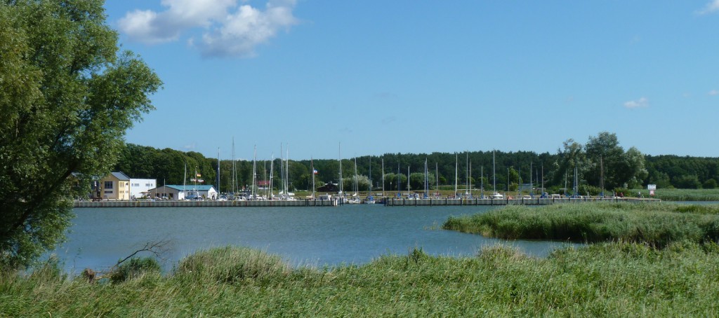 P1140798