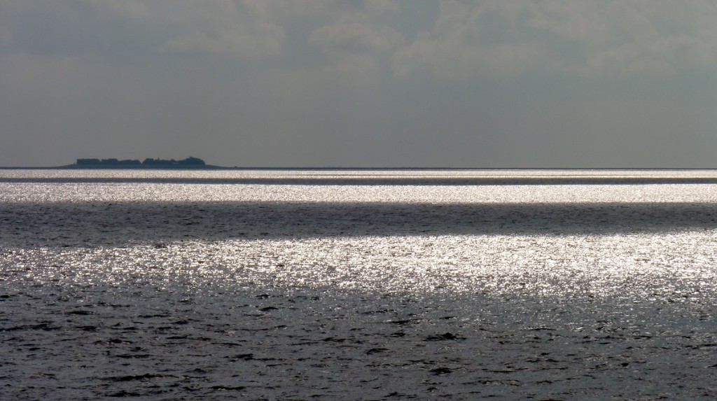 P1150439