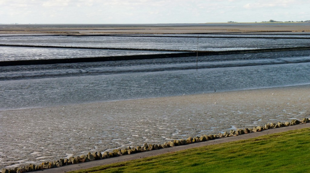 P1150489 (1024x571)