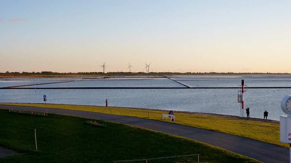 P1150522 (1024x575) (2)
