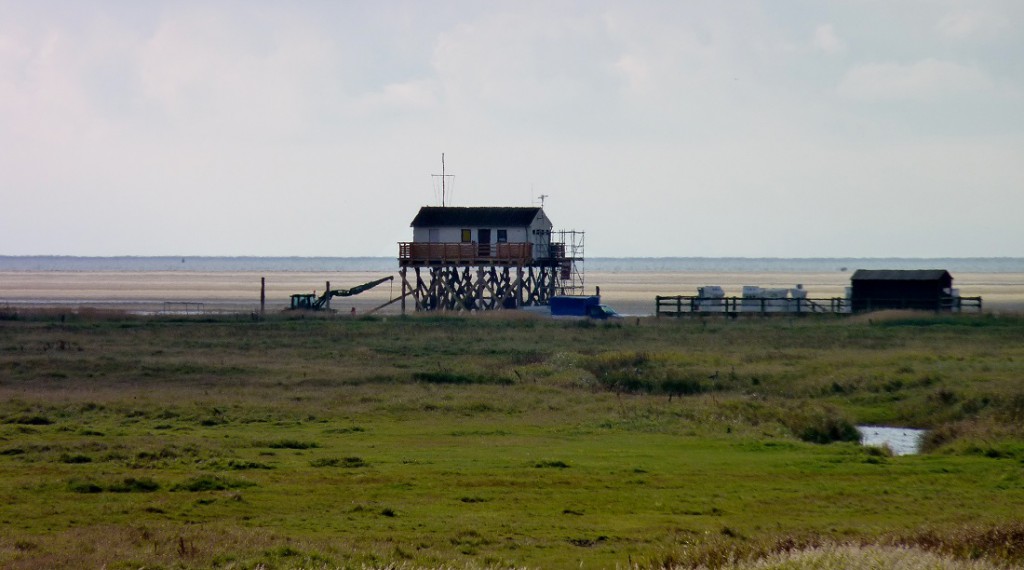 P1150570